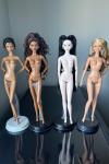 Model Muses
