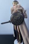 Shield