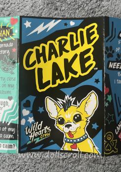 Mattel - Wild Hearts Crew - Charlie Lake - Doll