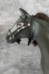 in black with silver buckles