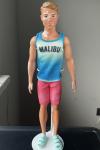 Mattel - Barbie - Fashionistas #192 - Malibu Tank - Ken