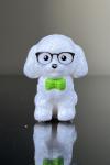 Poodle in glasses and bow-tie